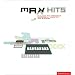 Max Hits: Building and Promoting Successful Websites