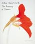 Arthur Harry Church:The Anatomy of Flowers