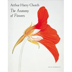 Arthur Harry Church:The Anatomy of Flowers