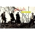 Down With Disease NO2 (Previously Unreleased) by Phish (Audio Cassette - 1994)