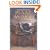 Robot Dreams (Masterworks of Science Fiction and Fantasy)