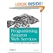Programming Amazon Web Services: S3, EC2, SQS, FPS, and SimpleDB