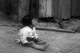 Graphic Footage of the Korean War / Conflict: The Crime of Korea DVD (1950)