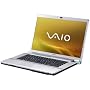 Sony Vaio VGN-FW51MF 41,7 cm (16,4 Zoll) Notebook (Intel Core 2 Duo P8700 2,5GHz, 6GB RAM, 500GB HDD, ATI HD 4650, Blu-ray, Win 7 HP)