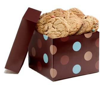 Childrens Toyshop  Gourmet Food : Geoff & Drew's Signature Chocolate/Blue Box of 16 Fresh Baked Cookies - 4 Flavors