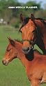 Horse Lovers 2009 Weekly Pocket Planner Calendar