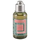 L`Occitane - Aromachologie Angelica Shampoo (2.5 oz)