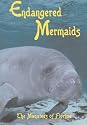Endangered Mermaids: The Manatees of Florida [DVD] [Region 1] [US Import] [NTSC]