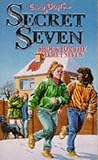 Shock for the Secret Seven