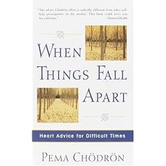 When Things Fall Apart: Heart Advice for Difficult Times