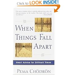 When Things Fall Apart: Heart Advice for Difficult Times