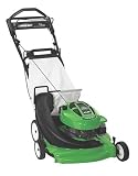 Lawn-Boy 6.5 HP Self-Propelled Walk Power Mower with Bag (Non-CARB Compliant) #10367
