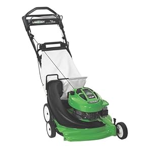 Lawn Boy 6.5 HP Self-Propelled Walk Power Mower with Bag 10367