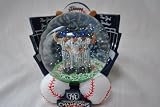 NEW YORK YANKEES WORLD SERIES 2009 CHAMPS SNOW GLOBE