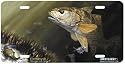 Red and Blue - Redfish - Art Print - License Plate Tag By Don Ray From Airstrike