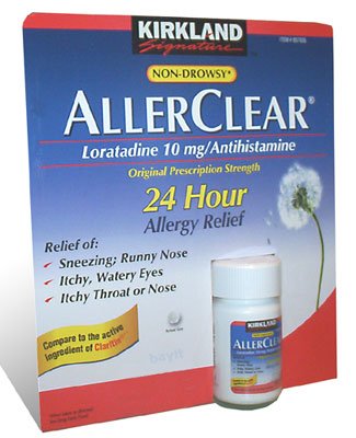 AllerClear - Loratadine 10 mg / Antihistamine Allergy Relief, 300 Tablets