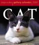 Cat Gallery Calendar 2007 (Page-A-Day Gallery Calendars)
