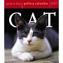 Cat Gallery Calendar 2007 (Page-A-Day Gallery Calendars)
