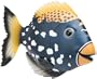 Rainbow Reef Magic Action Trigger Fish by Swimways (Colors May Vary)