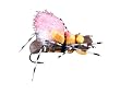 Taylor's Fat Albert Hi Visibility Orange/Brown Dry Attractor Foam/Chernobyl ::: Fly Fishing Trout Flies