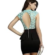 Floral Print Cap Sleeves High-Neck Polyester/Spandex Colorblocking Lace Peplum Bodycon Dress/Party Dress 