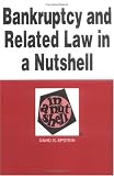 Bankruptcy and Related Law in a Nutshell: (Successor to Debtor-Creditor Law in a Nutshell) (Nutshell Series)