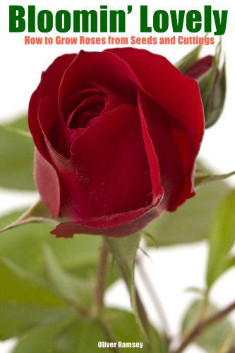 Bloomin' Lovely: How to Grow Roses from Seeds and Cuttings