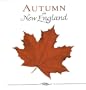 Autumn In New England