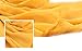 Wedtrend Women's Bridal Chiffon Shawl Long Evening Scarves（extra Long 2 Meters）