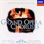 Grand Opera Choruses / Kubelik