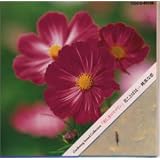 花ことばは・・・?