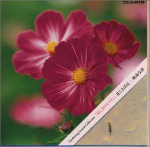 Cover image : 花ことばは・・・？