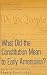 What Did the Constitution Mean To Early Americans? (Historians at Work)