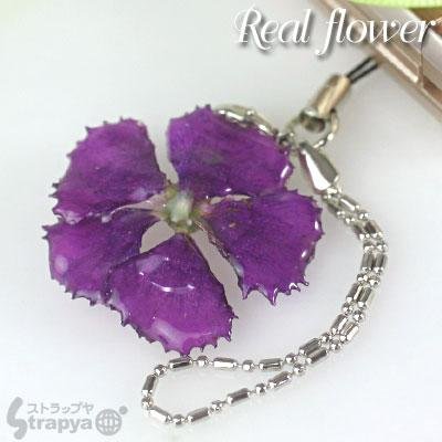 Cover image : 美しい生花で作られた誕生花**リアルフラワー携帯ストラップ(7月/なでしこ)