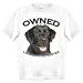 Labrador Retriever BLACK Owned By Adult T Shirt