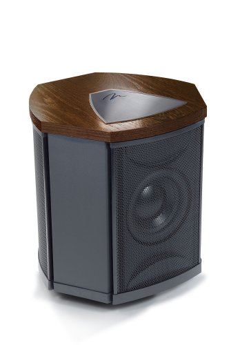 MartinLogan Depth i High-Performance Triple 8-Inch Servo-Control Subwoofer (Single, Wenge)