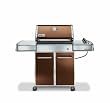 Weber 3742001 Genesis...