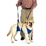 Guardian Gear Nylon Lift & Lead 4-In-1 Dog Harness, Medium, Blue