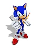 Wii Sonic and the Secret Rings