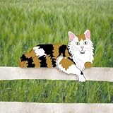 Pattern for Cutie Cats - Maine Coon
