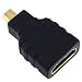 HDMI Female to Micro HDMI Male adapter