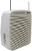 Hisonic 35 Watts Rechargeable & Portable PA System with Dual Wireless Microphones, HS301 image 1