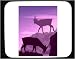 Mouse Pad with drinking, water, goats