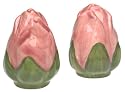 Franciscan Desert Rose Salt & Pepper Set