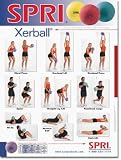 SPRI Xerball Exercise Wall Chart