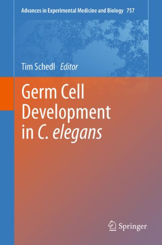 Germ Cell Development in C. elegans: 757 (Advances in Experimental Medicine and Biology)