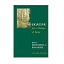 Educating for a Culture of Peace