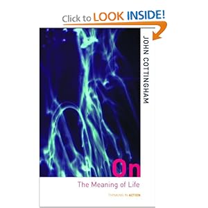 On the Meaning of Life