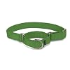Premier ECO Dog Collar, Medium 3/4-Inch, Fern Green