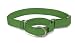 Premier ECO Dog Collar, Medium 3/4-Inch, Fern Green